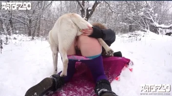 หมาเย็ดสาวฝรั่ง Winter Dog Sex บนหิมะสุดมันส์และแปลกสุด